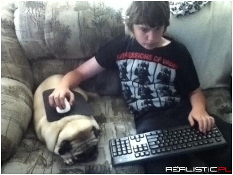 This Pug is a True Gamer