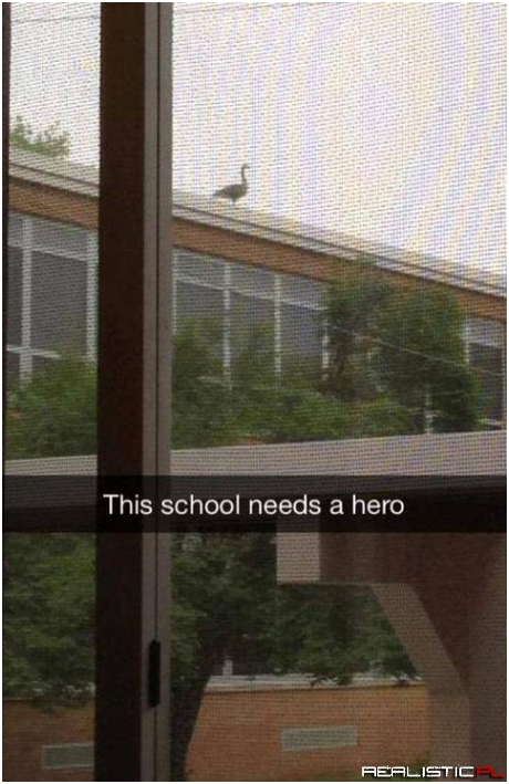 This school