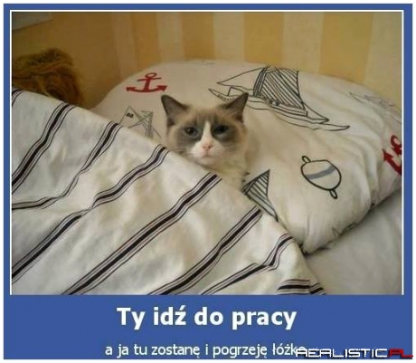 Ty idż do pracy...