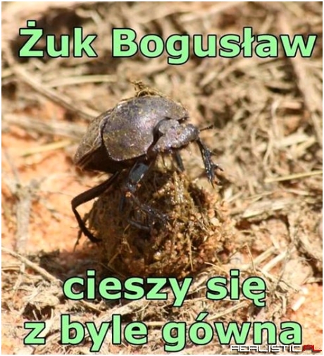 uk Bogusław