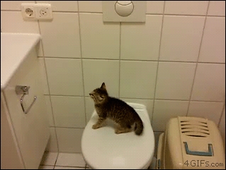 Up, up and away!