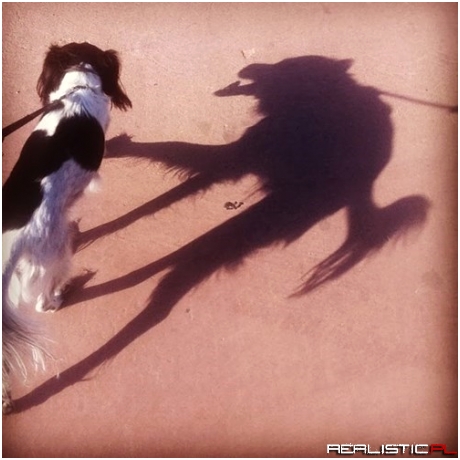 We're All a Little Wild on the Inside