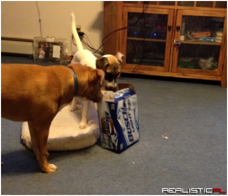 What Do You Mean You Drank All the Beer