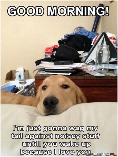 Who Needs an Alarm