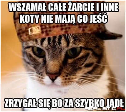 Wszamał całe żarcie