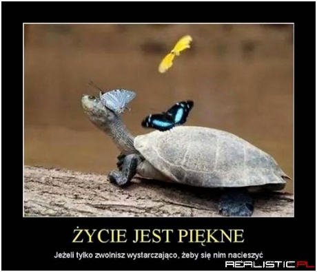 ycie jest piękne