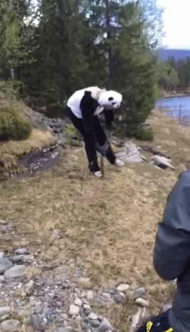 You Don't Need a Reason to Act a Fool When You're This Drunk