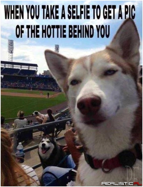 You're Such a Dog