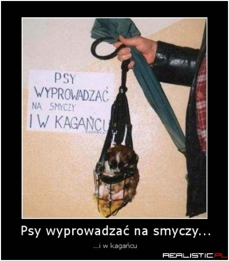 Z psem na spacer