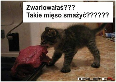 Zwariowałeś