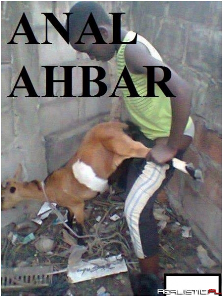 Anal ahbar