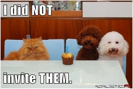 And WHERE is my FROSTING!