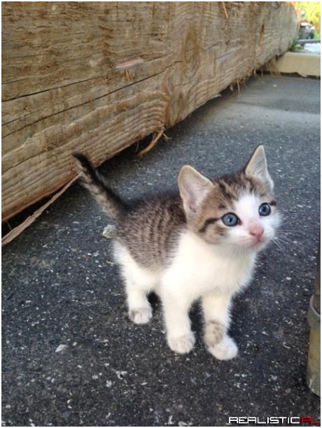 Are You Going to Take Me Home