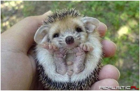 Are You Gonna Give Me Tickles