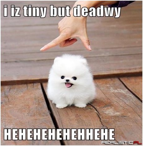 Be Afwaid...be Vewy Afwaid!
