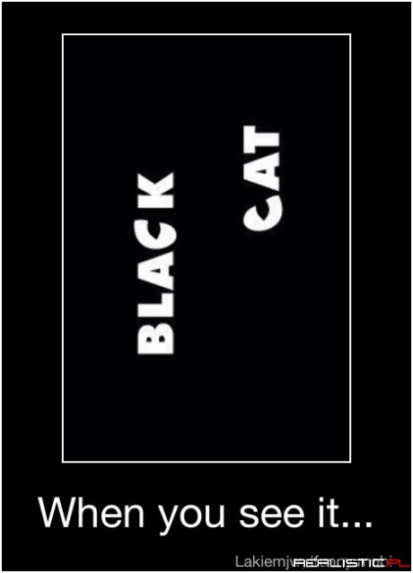 Black cat