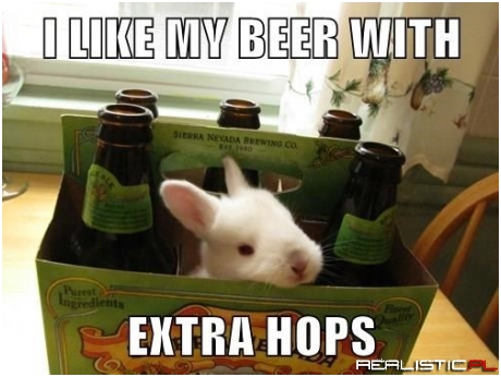 Brewer Bunny