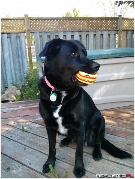 But...but This is Rubber