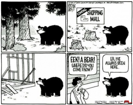 Can You Bear the Change