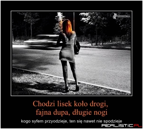 Chodzi lisek koło drogi