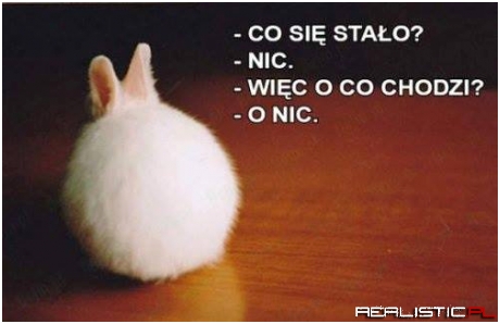 Co się stało