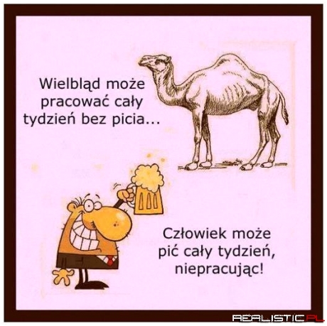 Coś w tym jest