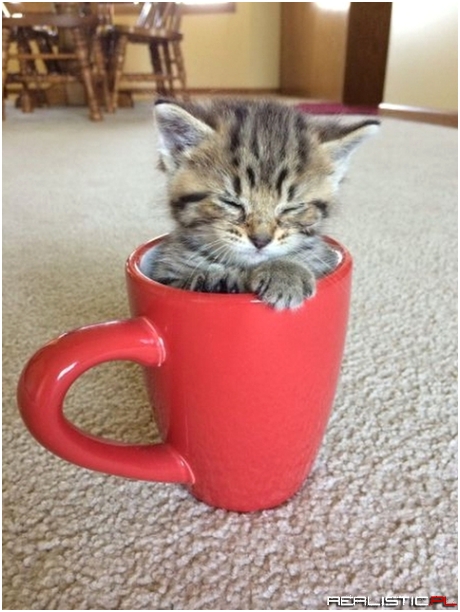 Cute
