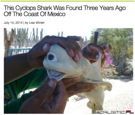 Cyclops shark