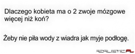 Dlaczego kobieta ma 2 zwoje mózgowe więcej niż koń
