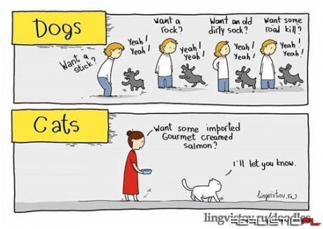 Dogs vs. Cats
