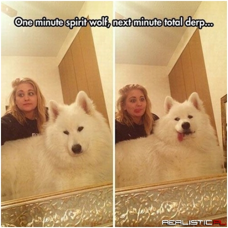 Don't be Fooled by the Mystique