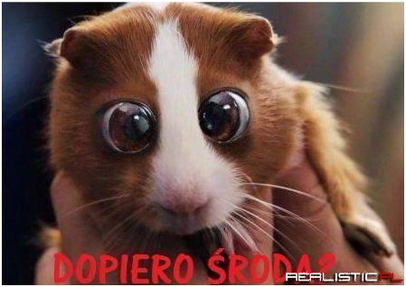 Dopiero środa