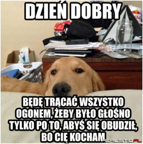 Dzień dobry