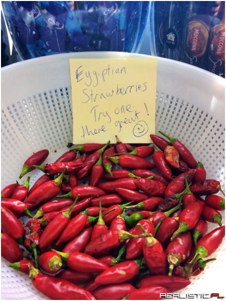 Egyptian strawberries