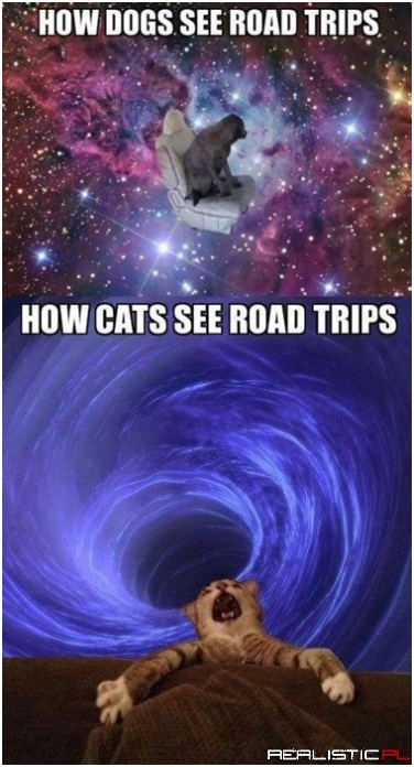 Engaging Hyperdrive!