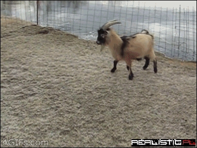 Exactly How I Planned it