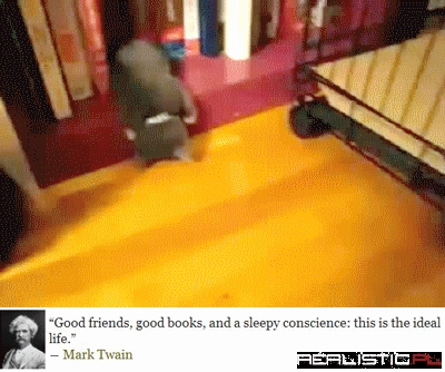 Falling Asleep to a Good Book