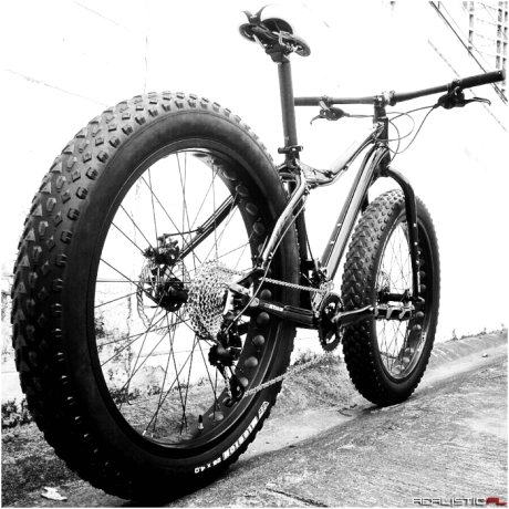 Fat bike