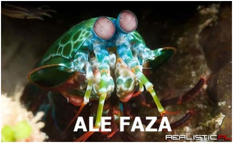 Faza