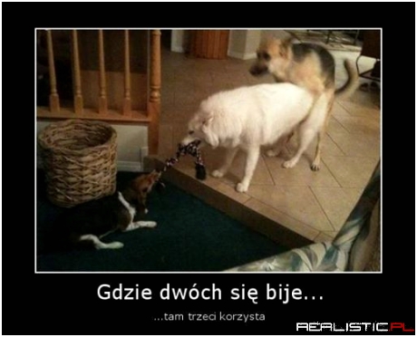 Gdzie dwóch się bije...