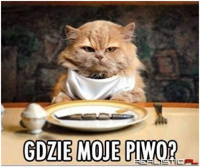 Gdzie moje piwo