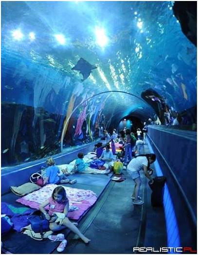 Georgia Aquarium