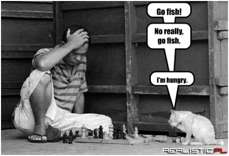 He's Not Playing Around