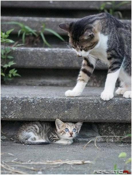 Hiding From Mom