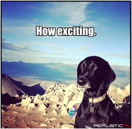 How exciting