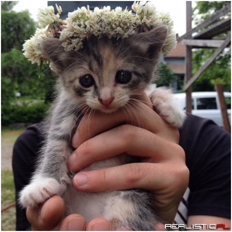 I Crown Thee Queen of Clovers