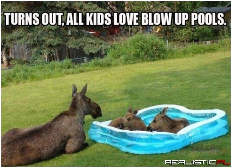 I Guess Adult Swim is Over