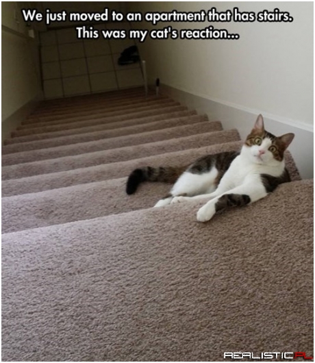 I Have to Do This Every Day!