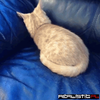 I Must Go, My People Need Me