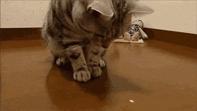 I Think I Finally Caught it!